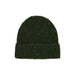 A dark green ribbed knit beanie hat with a folded cuff, shown against a plain light gray background.