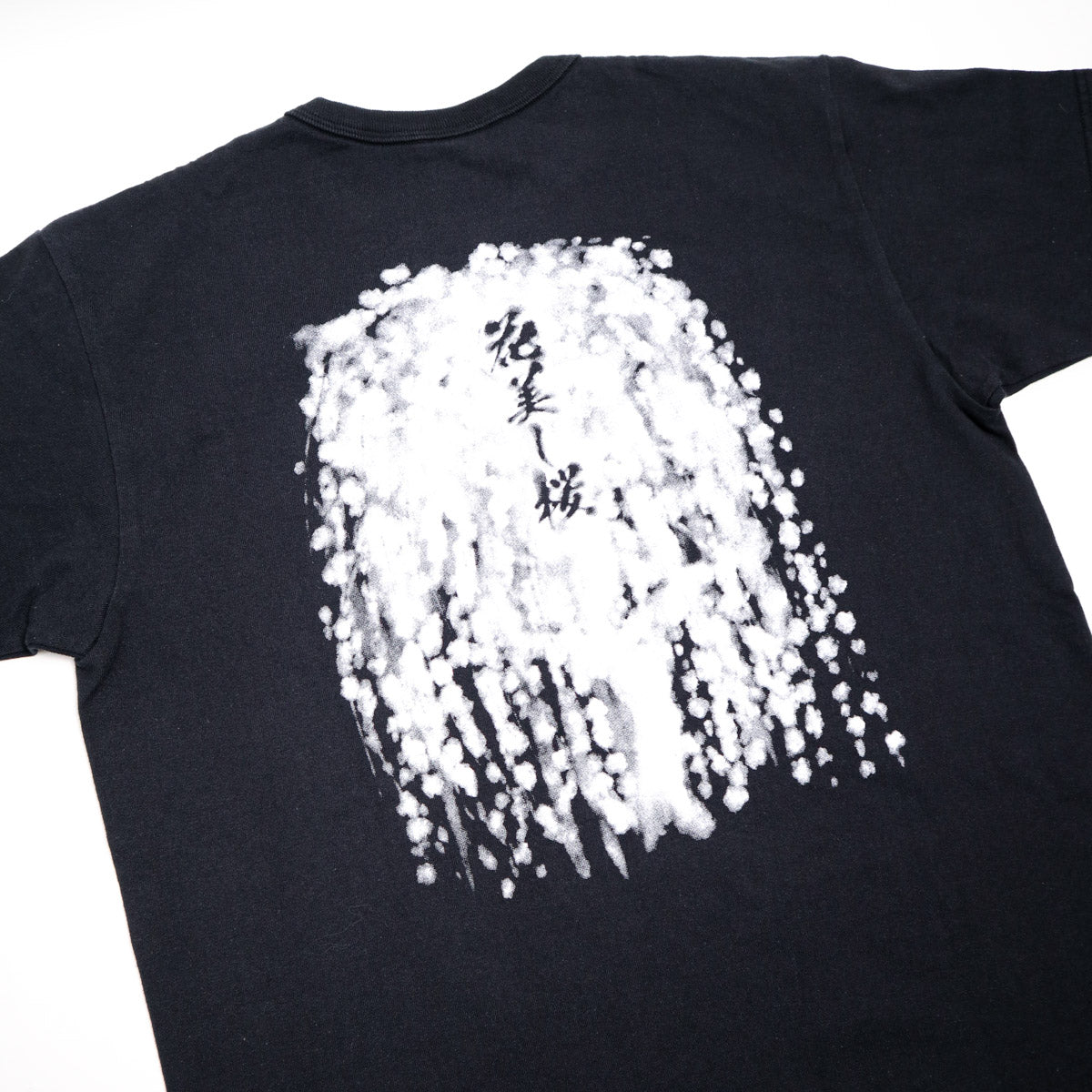 SJST26-104 Heavy Weight Bursting Forth Tee - Black